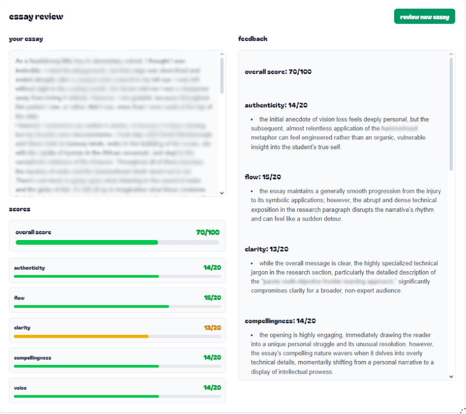 essay review interface